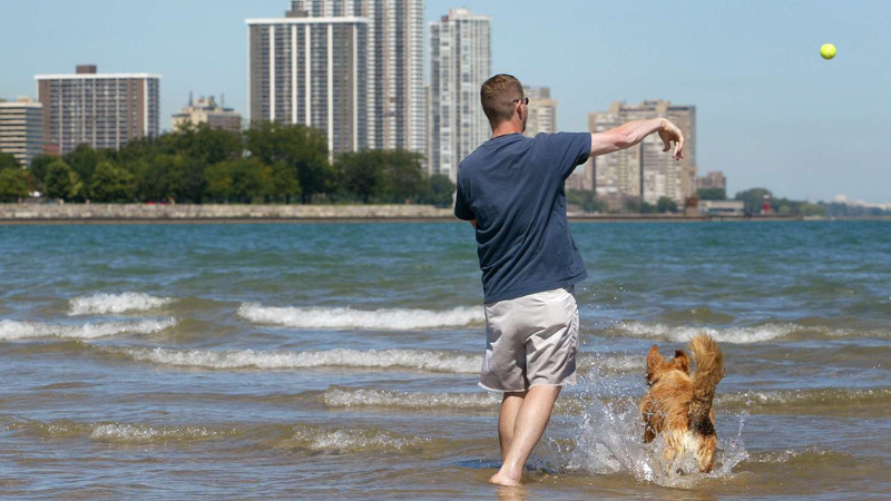 10 Best Pet-Friendly Beaches A Guide to Beach Bliss