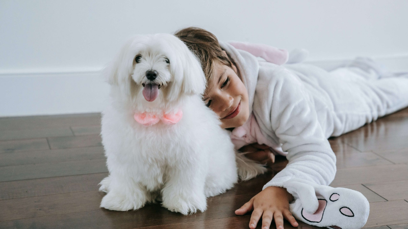 Top 15 Pet Animals for Kids at Each Age