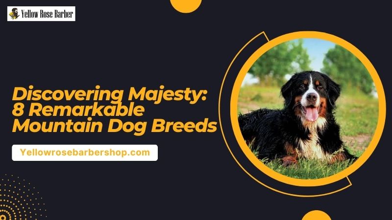 Discovering Majesty: 8 Remarkable Mountain Dog Breeds