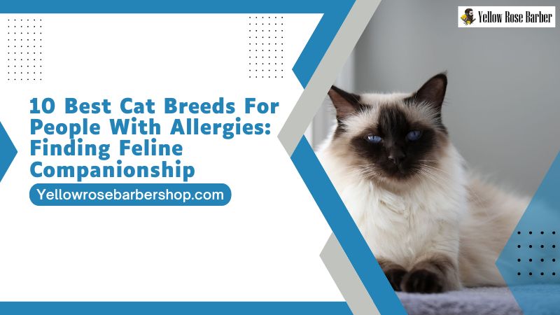 10 Best Cat Breeds for People With Allergies: Finding Feline Companionship