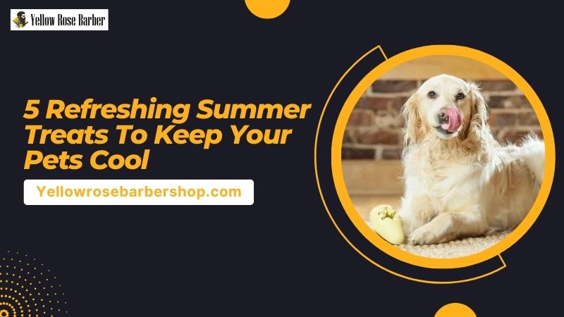 5 Refreshing Summer Treats to Keep Your Pets Cool