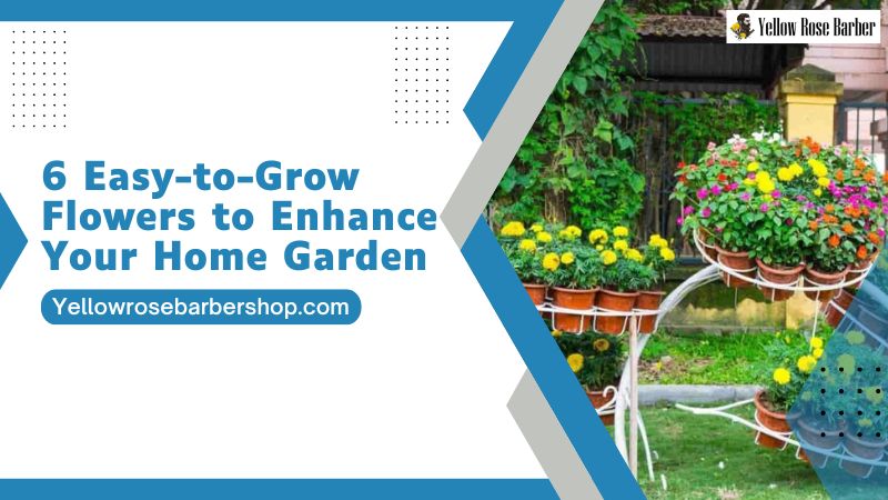 6 Easy-to-Grow Flowers to Enhance Your Home Garden