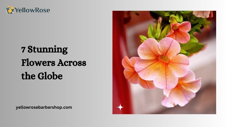 7 Stunning Flowers Across the Globe