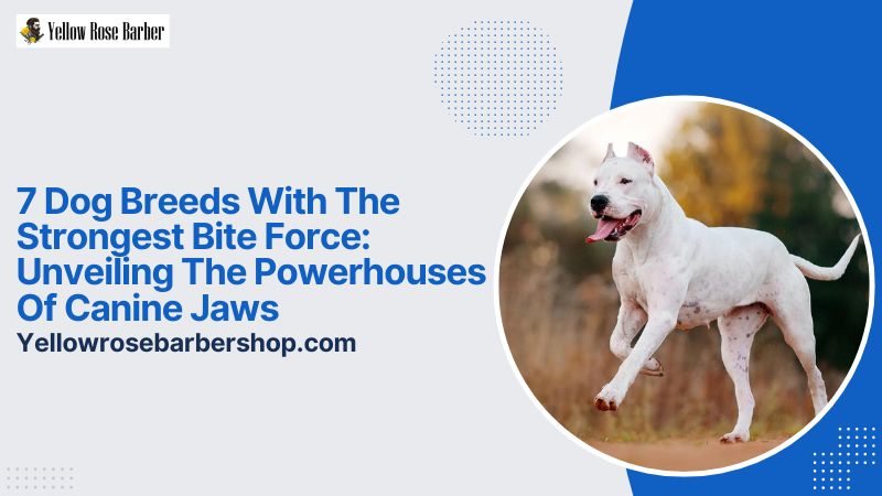 7 Dog Breeds with the Strongest Bite Force: Unveiling the Powerhouses of Canine Jaws