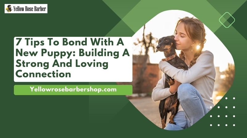 7 Tips To Bond With A New Puppy: Building a Strong and Loving Connection