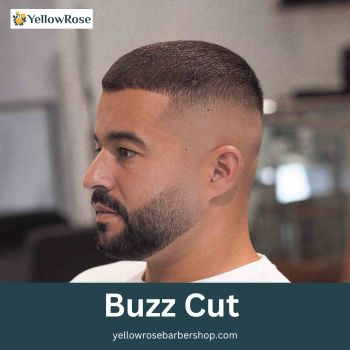 Buzz Cut  