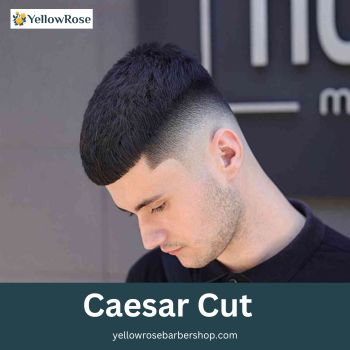 Caesar Cut 