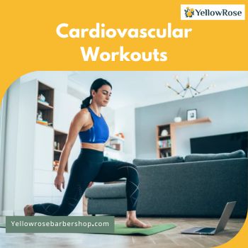 Cardiovascular Workouts