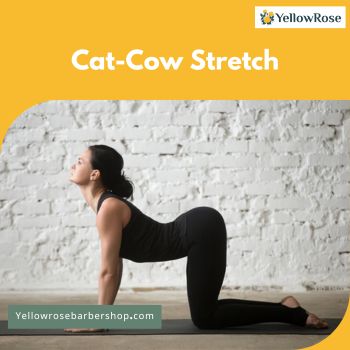 Cat-Cow Stretch