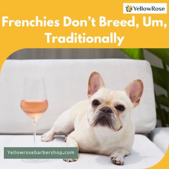 Frenchies Don’t Breed, Um, Traditionally