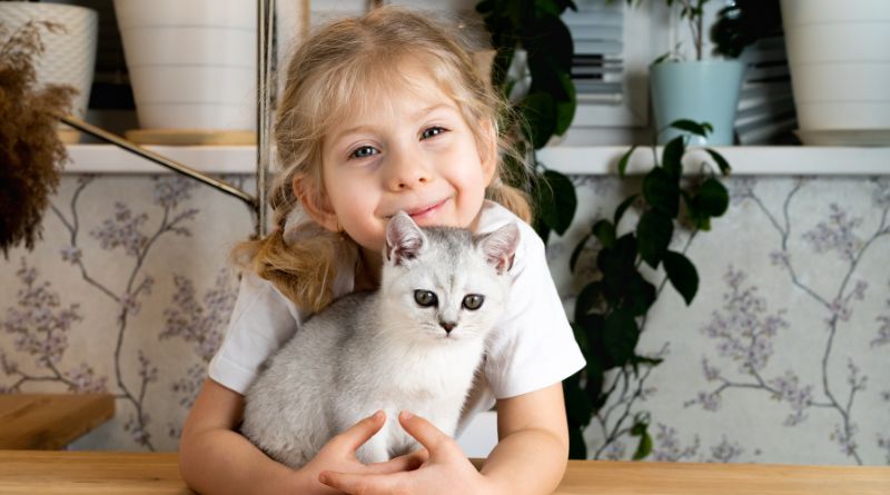 Kitten Breeds Ideal For Young Children