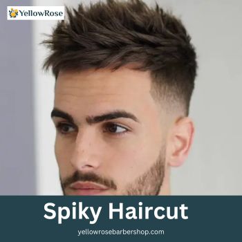 Spiky Haircut  