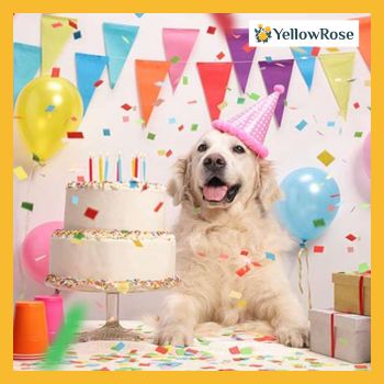 Throw a Doggy Birthday Party
