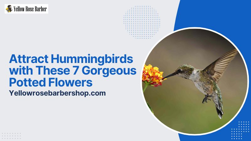 Attract Hummingbirds with These 7 Gorgeous Potted Flowers