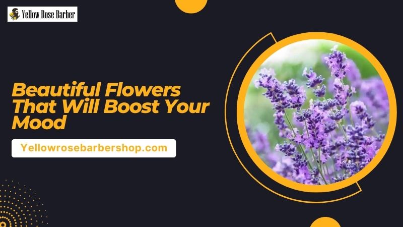 Beautiful Flowers That Will Boost Your Mood