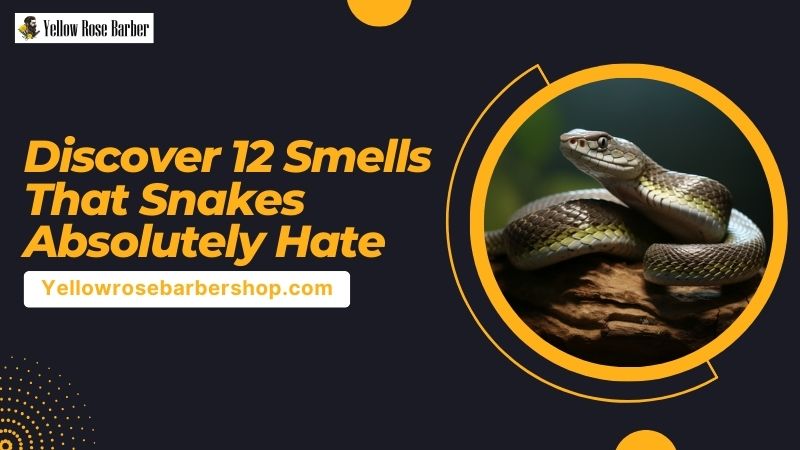 Discover 12 Smells That Snakes Absolutely Hate