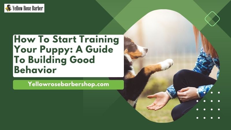 How to Start Training Your Puppy: A Guide to Building Good Behavior