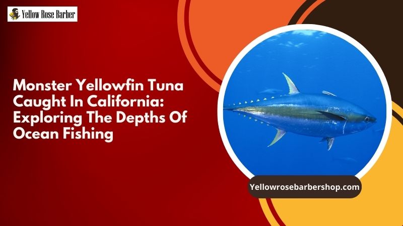 Monster Yellowfin Tuna Caught in California: Exploring the Depths of Ocean Fishing