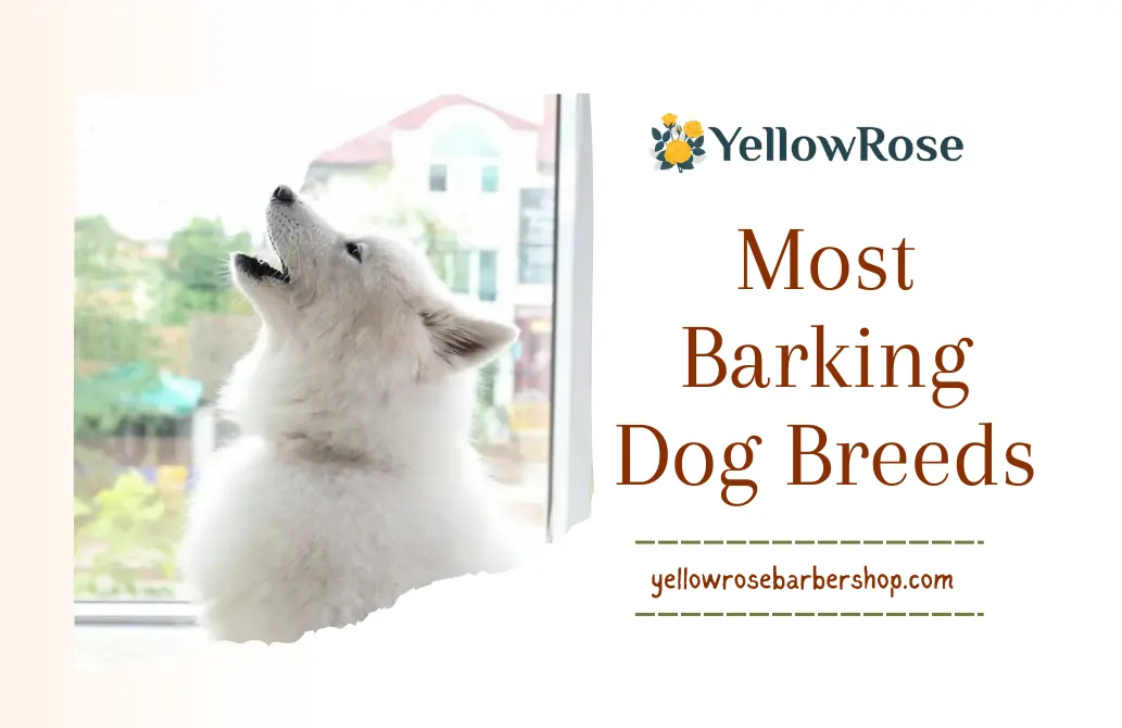Most Barking Dog Breeds