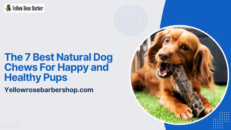 The 7 Best Natural Dog Chews for Happy and Healthy Pups