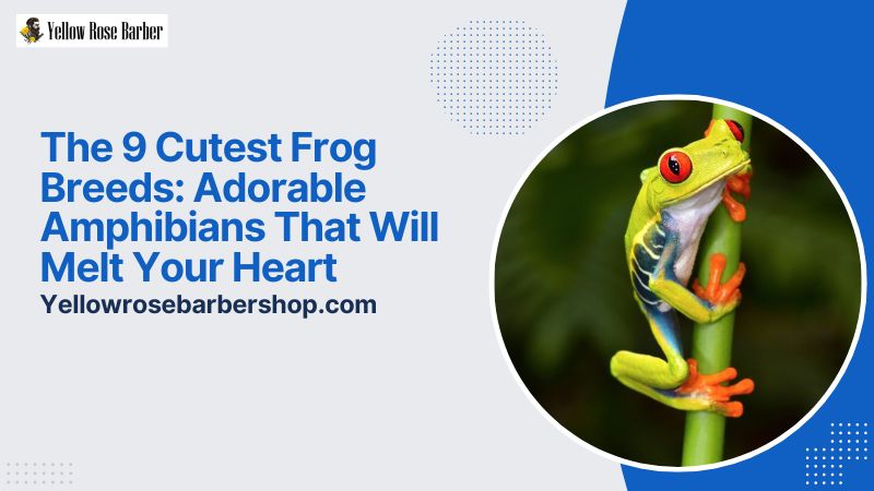 The 9 Cutest Frog Breeds: Adorable Amphibians That Will Melt Your Heart