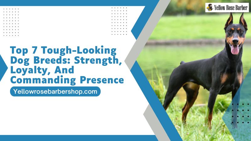 Top 7 Tough-Looking Dog Breeds: Strength, Loyalty, and Commanding Presence