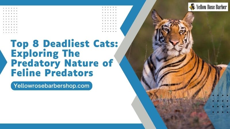 Top 8 Deadliest Cats: Exploring the Predatory Nature of Feline Predators