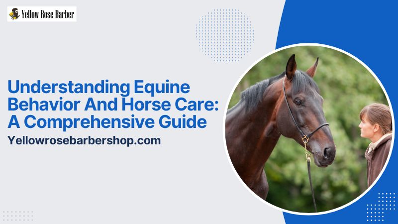 Understanding Equine Behavior and Horse Care: A Comprehensive Guide