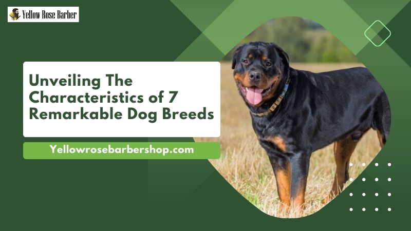 Unveiling the Characteristics of 7 Remarkable Dog Breeds