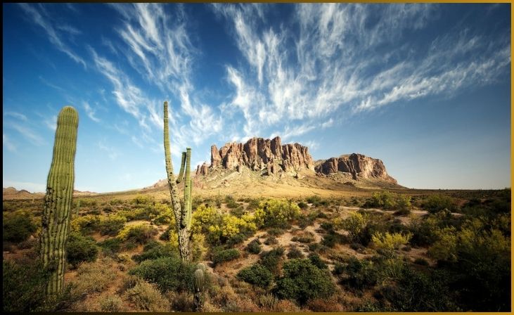 Arizona's Desert Beauty