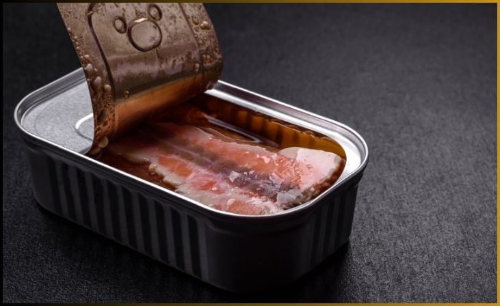 Canned Tuna or Salmon