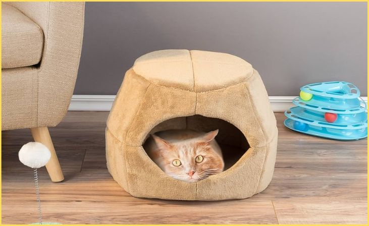 Convertible 2-in-1 Cat Bed