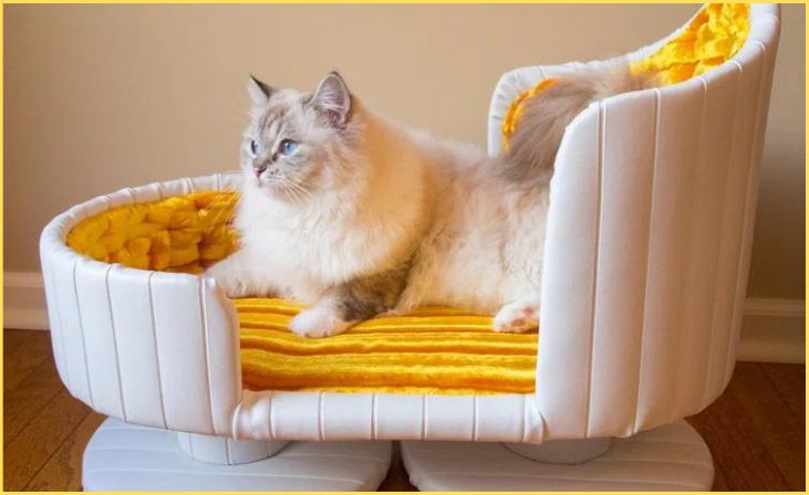 Designer Cat Bed