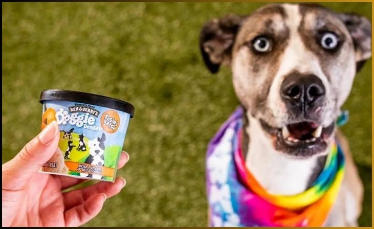 Dog-Friendly Ice Cream