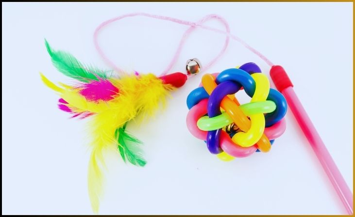 Feather Wand Toy