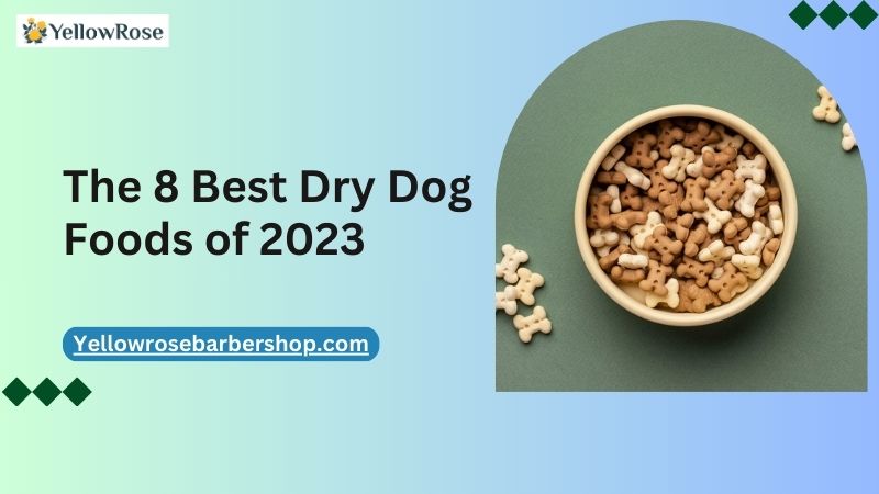 The 8 Best Dry Dog Foods of 2023 (1)