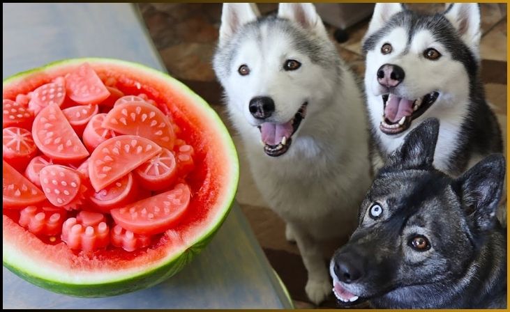 Watermelon Cubes