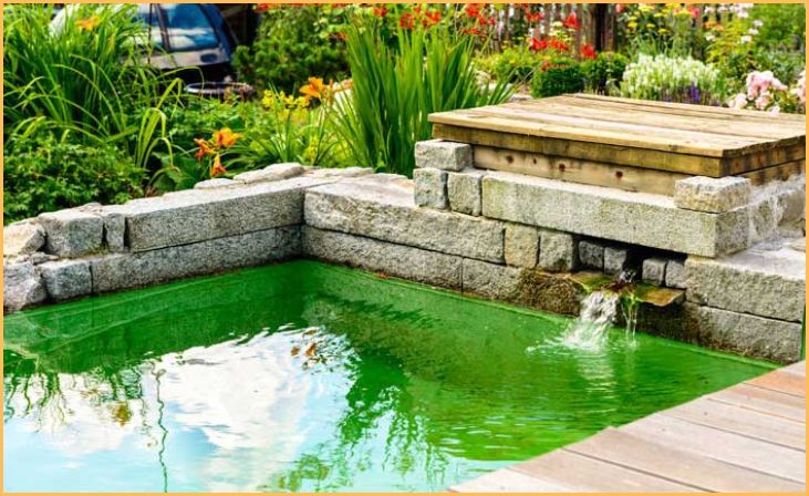 Budget-Friendly Water Feature