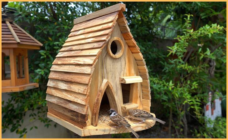 DIY Birdhouses or Feeders