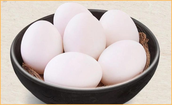Eggs 