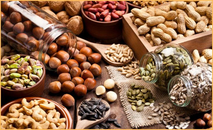 Nuts and Seeds for Sustained Energy