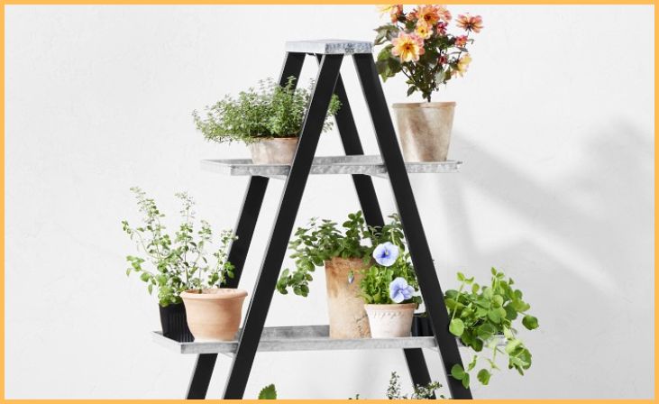 Plant Ladder